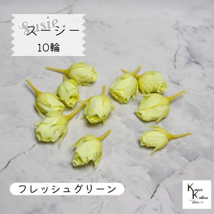 大地農園！プリザーブドフラワー 「スージー フレッシュグリーン 10輪」プリザ 花材 ハーバリウム おしゃれ かわいい プレゼント 贈り物　オオチノウエン