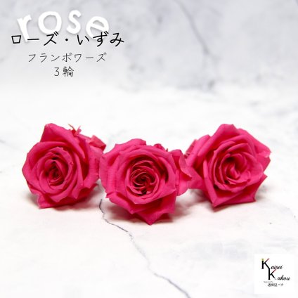大地農園！プリザーブドフラワー 「ローズいずみ 3輪 フランボワーズ」プリザ 花材 ハーバリウム おしゃれ かわいい プレゼント 贈り物　オオチノウエン バラ 薔薇 ローズ rose