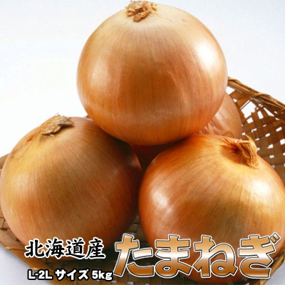 たまねぎ 送料無料 5kg 玉ねぎ 玉葱 タマネギ 北海道産 L-2Lサイズ ※沖縄送料別途加算