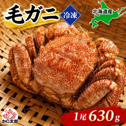 大型　毛ガニ　630～680ｇ前後　ボイル冷凍　海鮮かに通販　身と味噌の詰まった大型毛蟹