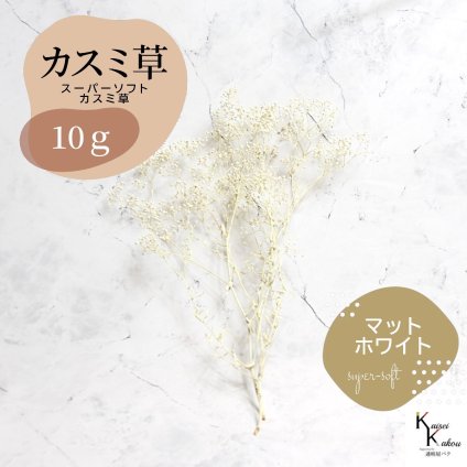 「大地農園 スーパーソフトミニカスミ草 マットホワイト  10g」 ドライフラワー 花材 ハーバリウム 素材 小さいお花 アレンジメント ギフト 母の日 お誕生日 オオチノウエン プリザーブドフラワー プリザーブド プリザ かすみそう カスミ ハンドメイド