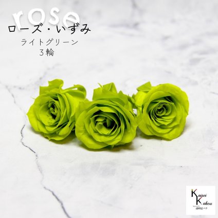 大地農園！プリザーブドフラワー 「ローズいずみ 3輪 ライトグリーン」プリザ 花材 ハーバリウム おしゃれ かわいい プレゼント 贈り物　オオチノウエン バラ 薔薇 ローズ rose