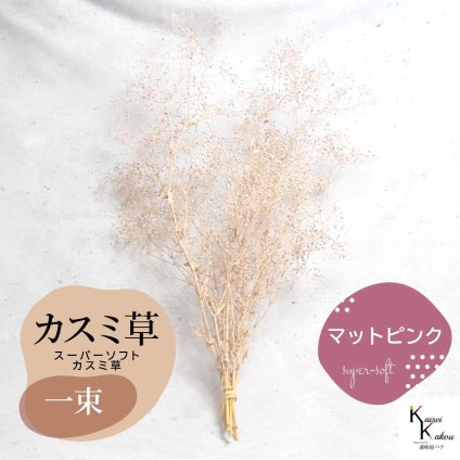 メール便で発送 「大地農園 スーパーソフトミニカスミ草 マットピンク 1束 」 ドライフラワー 花材 ハーバリウム 素材 小さいお花 アレンジメント ギフト 母の日 お誕生日 オオチノウエン プリザーブドフラワー プリザーブド プリザ かすみそう カスミ ハンドメイド