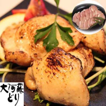 熊本 大阿蘇どり 焼肉 ムネ肉 500g 冷凍 銘柄鶏 阿蘇 自然育ち 鶏肉 バーベキュー