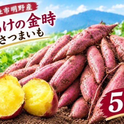 山梨産さつまいも【あけの金時】5ｋｇ箱※日にち指定不可【送料無料】