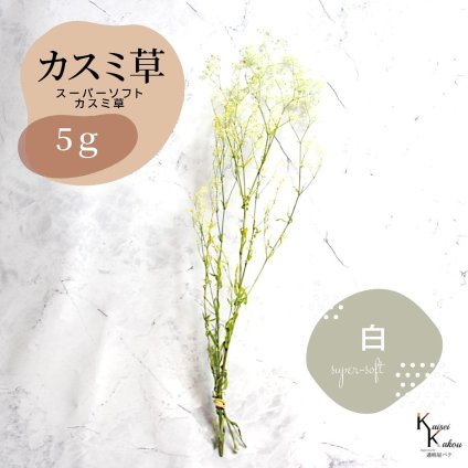 「大地農園 スーパーソフトミニカスミ草・フレア 白 5g 」 ドライフラワー 花材 ハーバリウム 素材 小さいお花 アレンジメント ギフト 母の日 お誕生日 オオチノウエン プリザーブドフラワー プリザーブド プリザ かすみそう カスミ ハンドメイド
