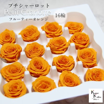 大地農園！プリザーブドフラワー 「プチシャーロット 16輪 フルーティーオレンジ」プリザ 花材 ハーバリウム おしゃれ かわいい プレゼント 贈り物　オオチノウエン