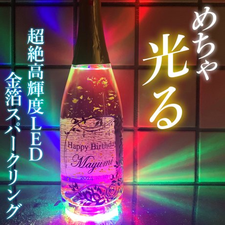 発光体ライト