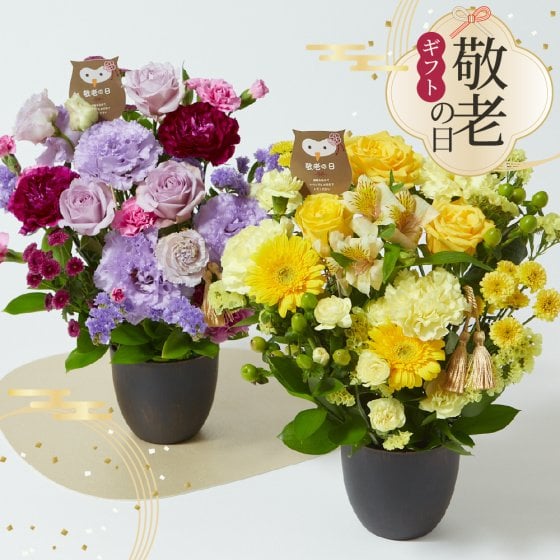【敬老の日】 アレンジメント 豪華Mサイズ 敬老の日 ボリューム プレゼント ギフト 花 おじいちゃん おばあちゃん 祖父母 フラワー アレンジメント バラ  豪華サイズ 華やか 生花 アレンジメント 花束 メッセージカード付 
