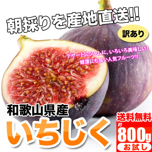 いちじく 和歌山県産 訳あり イチジク 800ｇ【400g×2パック】