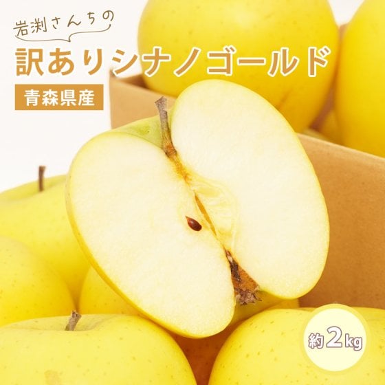 【11月下旬頃発送予定】 ＼岩渕さんちの／ 青森県産 訳あり シナノゴール ご家庭用 約2kg 林檎 りんご リンゴ 訳アリ 家庭用 青森 青森産