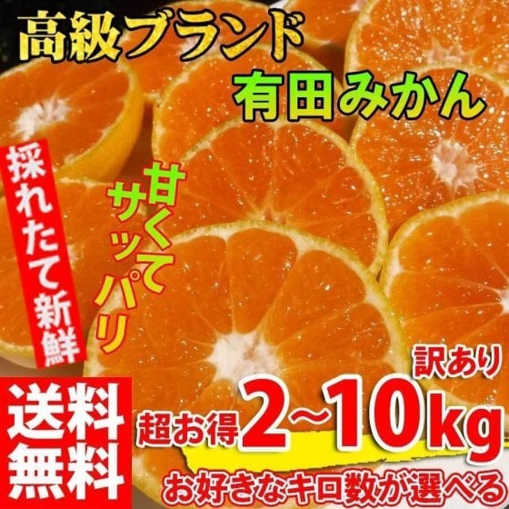 【10月中旬から順次発送予約販売】みかん 2kg~10kg 訳あり☆和歌山 有田みかん