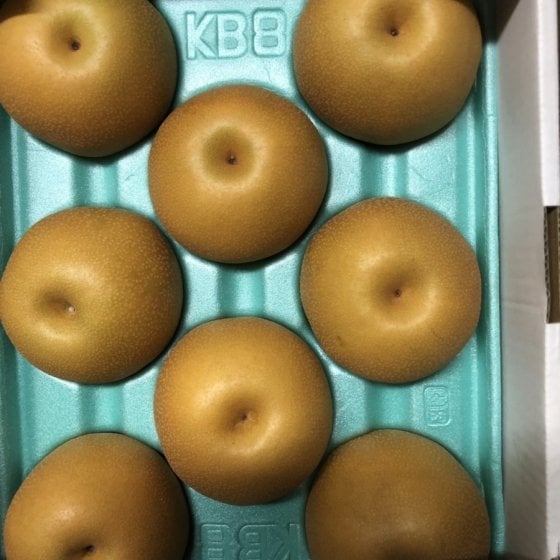 秀品 新潟産 ★和梨★ 5kg（10個～16個）