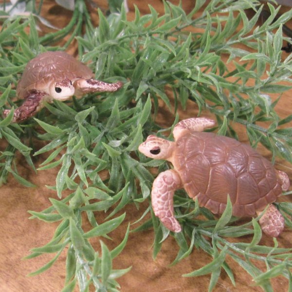動物 置物 リアル ミニチュア ウミガメの置物 2点セット カメ