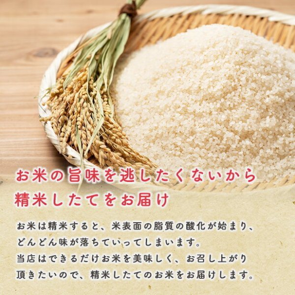 新米！【精米10kg】令和8年産 秋田県産 あきたこまち10kg(5kg×2袋