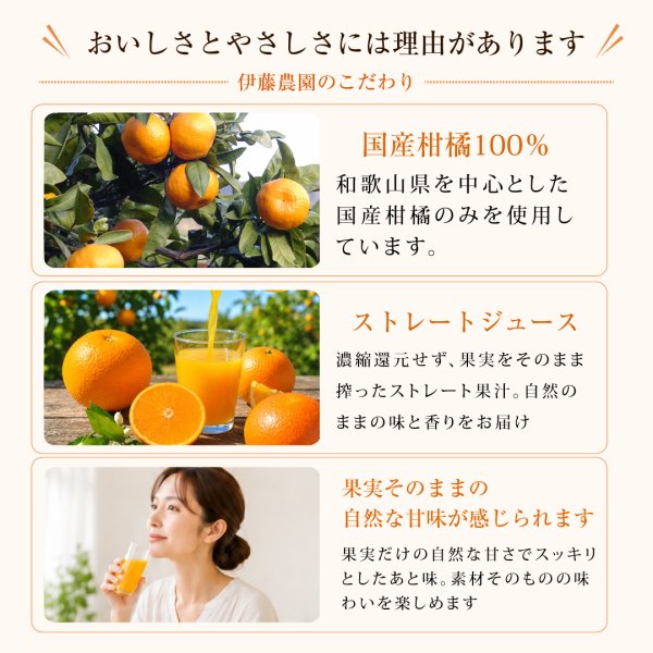 みかんジュース ストレート 180ml 10本 国産 和歌山 無添加 果汁100