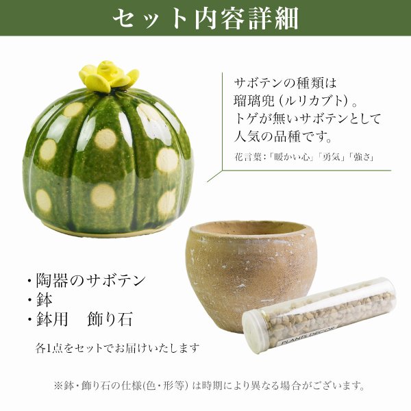 SERA SABO 陶器のサボテン 瑠璃兜 黄色 キットセット （鉢・ストーン付