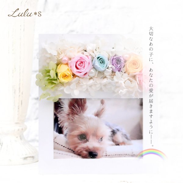 petplanet トプスぺ品フォトフレームbright bella サイン付 虹の彼方 Over the Rainbow 】 写真立て プリザーブドフラワー
