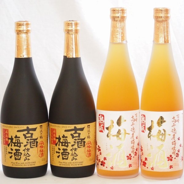 CAMUS NAPOLEON　EARLYTIMES 古酒4本セット CAMUS NAPOLEON EARLYTIMES 古酒4本セット 古酒4本セット CAMUS