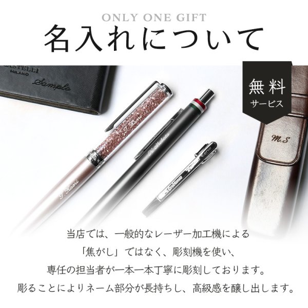 ★美品新品★レオナルド　ノスタルジア　万年筆 日本限定 レオナルド・オフィチーナ・イタリアーナ 万年筆 名入れ
