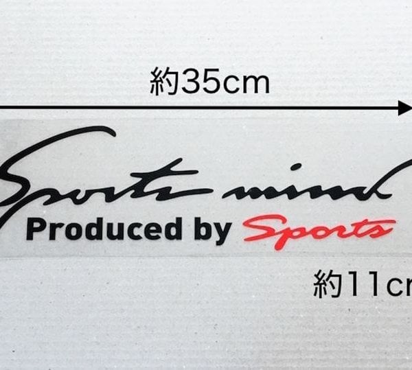 車 ステッカー おしゃれ 通販 LLサイズ 約11×35cm 車に貼るステッカー 