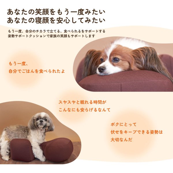 OneAid リラクッション 撥水カバーセット S ベージュ 犬用 猫用 介護