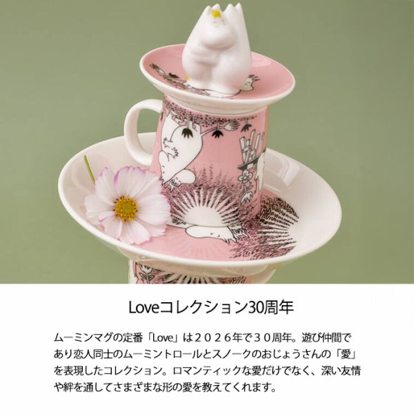 ARABIA FINLAND ムーミン プレート 限定品 キッチン・食器 ARABIA FINLAND ムーミン プレート 限定品