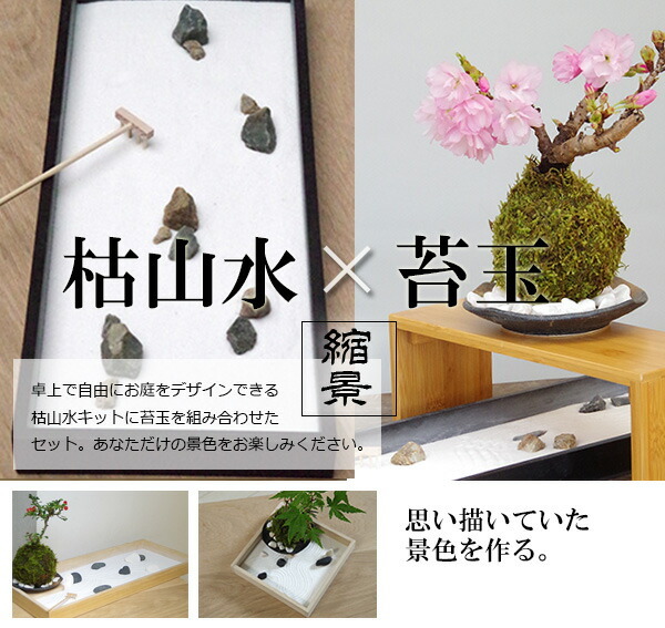 インテリア 枯山水×苔玉～枯山水（龍安寺）+南天苔玉 器・天然孟宗竹