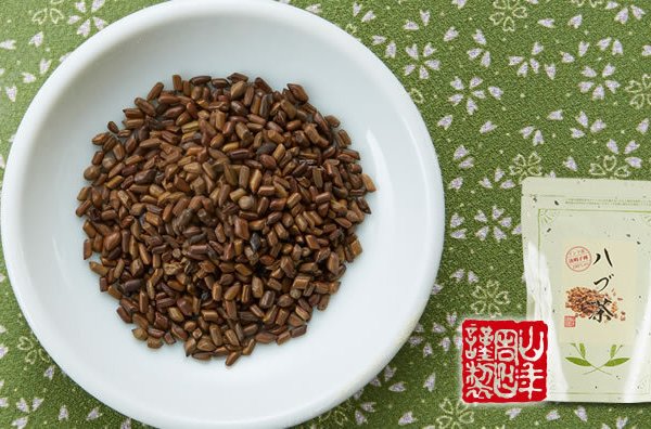 無添加 100%】ハブ茶 ケツメイシ種 500g×10袋セット インド産