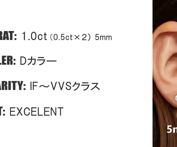 モアサナイト ピアス 1ct スタッドピアス 0.5ct ×2 一粒 両耳用