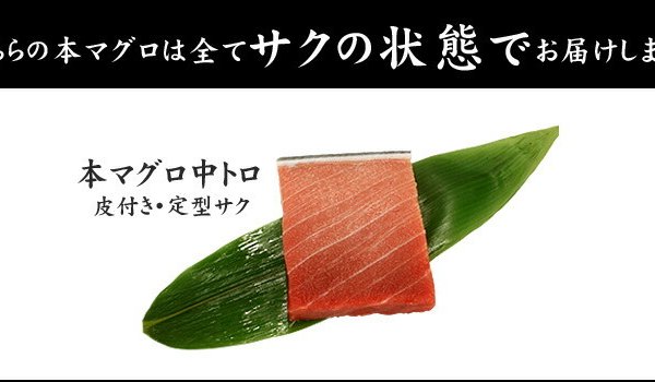 メガ盛り！本マグロ極上中トロ1kg 解凍レシピ付 1サクずつ真空包装