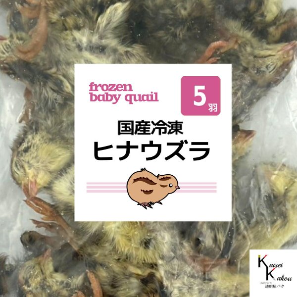 国産 冷凍 ヒナウズラ 5羽」 ヒナウズラ ウズラ 冷凍ヒナウズラ 冷凍