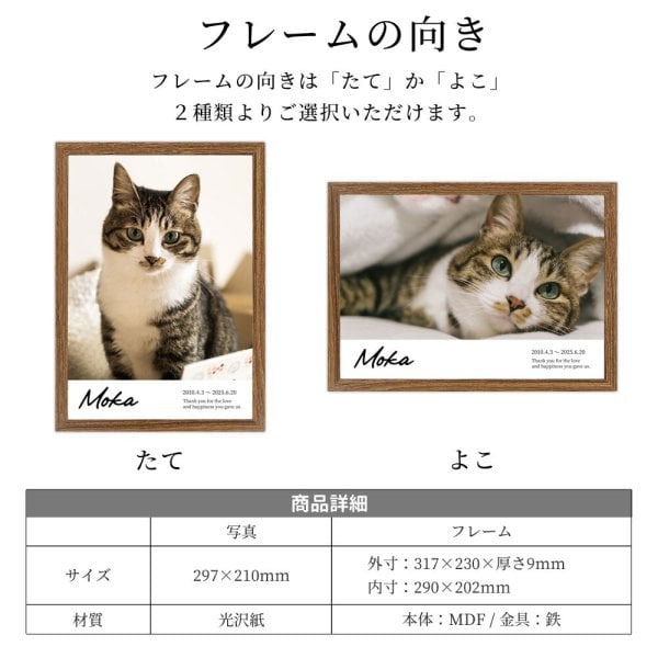 ペット 写真 パネル A4 1〜5枚レイアウト 「うちの子 フォトパネル」名 