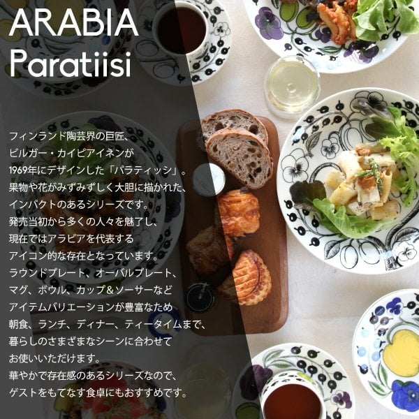 アラビア パラティッシ カラー スターターセット 8点セット ギフト 