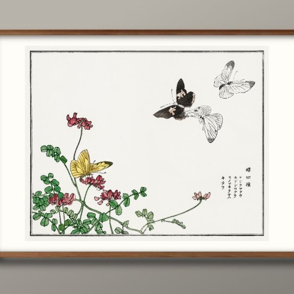 森本東子 蝶々 チョウ A3 サイズ ポスター アート おしゃれ 絵画