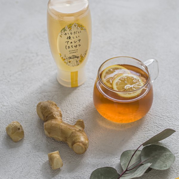 MYHONEY マイハニー からだに優しいアカシアはちみつ500g（箱なし