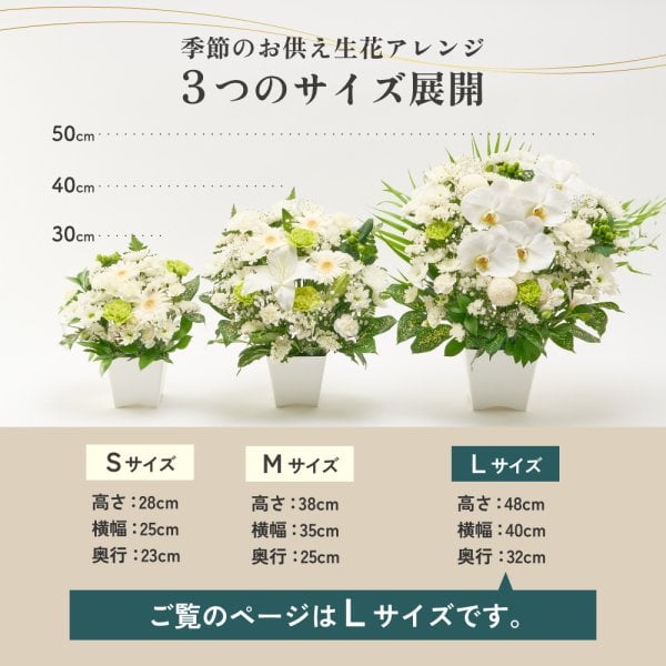 メモリアルアレンジメントL 線香 お供え花 供養 胡蝶蘭 コチョウラン