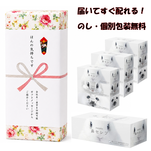 送料込】粗品 引っ越し挨拶 10箱セット ネピア 鼻セレブ ティッシュ