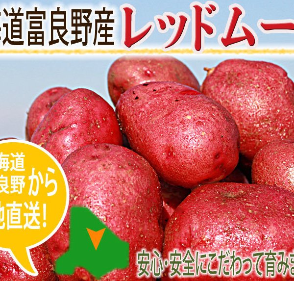 新鮮 赤じゃがいも 10キロ 赤いじゃがいも レッドムーン 10kg 北海道産 送料無料 - 【スイート