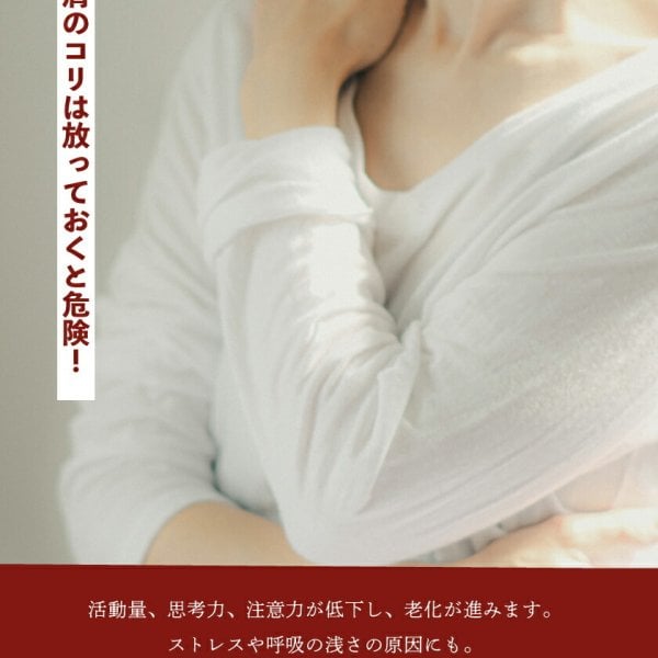 正規品】ANGLE アングル 磁気ネックレス e.MODEL 01 NECKLACE eモデル