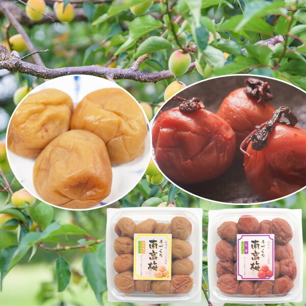 紀州南高梅 つぶれ梅 はちみつ しそ 合計2パック・800g (各1パック400g
