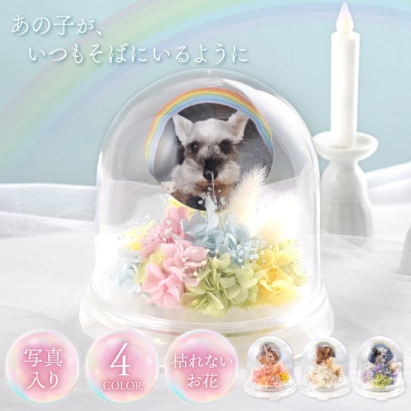 送料無料 】【ペットちゃんの虹の橋・メモリーポット】ペット お供え