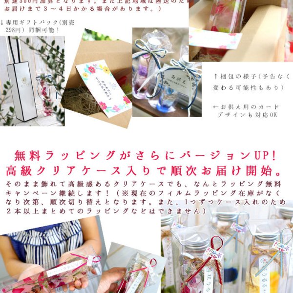 送料無料】ハーバリウム プリザーブドフラワー ボトル 選べる5色 (高