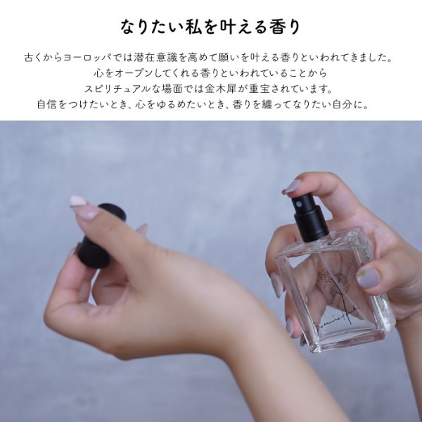 送料無料 】【 フレグランスエビエール 50ml MAGNISOUR / マニスール
