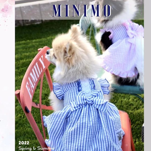 M ブルー Tシャツ タンクトップ 痒く 犬服 犬の服 ペット服