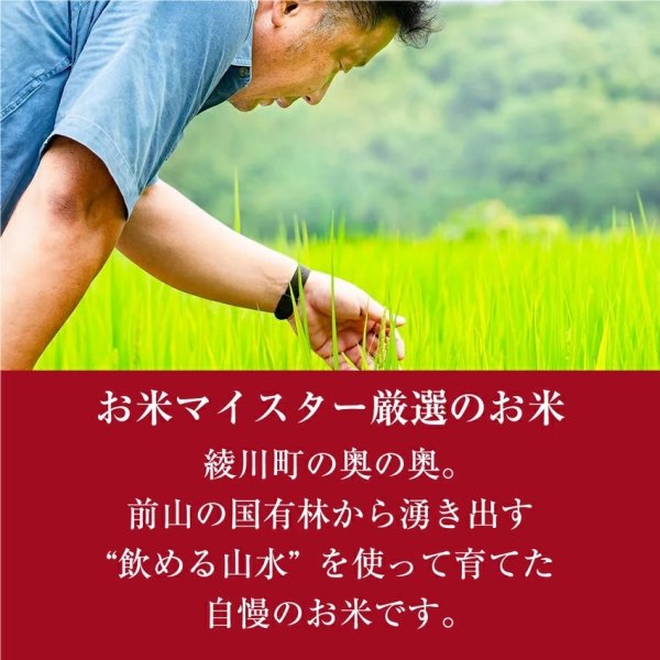 新米 香川県産 コシヒカリ 100%農家直送 精米 令和3年産 白米 10kg