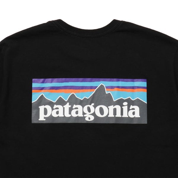 パタゴニア patagonia メンズ Tシャツ 半袖 アパレル 38504 BLK