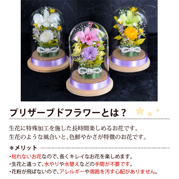 灯優 】ガラスドーム入り 光るお供え花プリザーブドフラワー