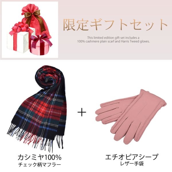 名入れ 刺繍】クリスマス ギフトセット [Merfirge] カシミヤ 100