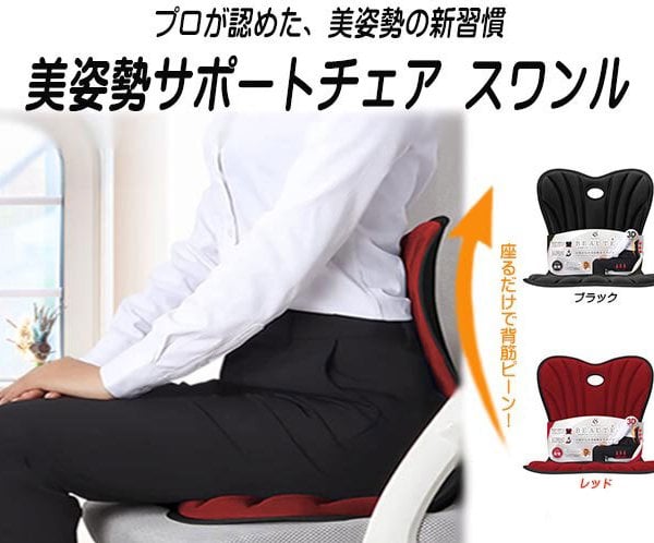 美姿勢サポートチェア スワンル 姿勢矯正 椅子 姿勢サポートチェア 美